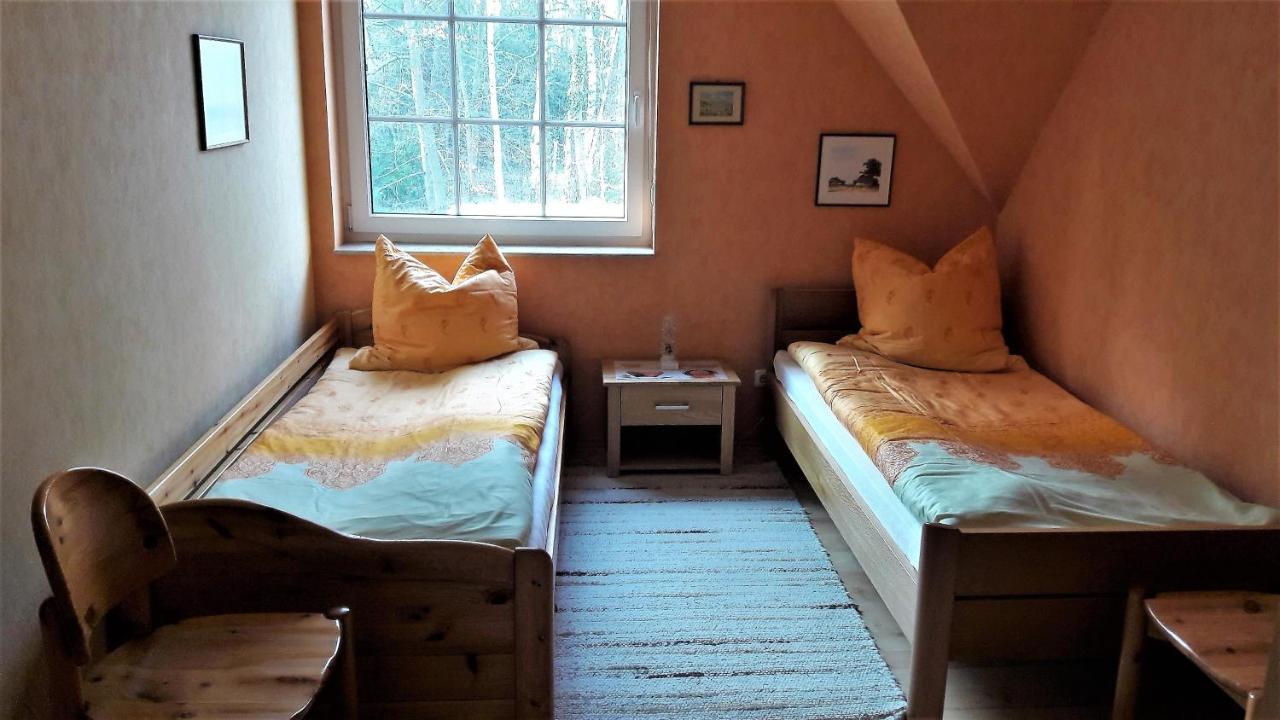 Ferienwohnung-Sonnenparadies-Wandlitz Εξωτερικό φωτογραφία